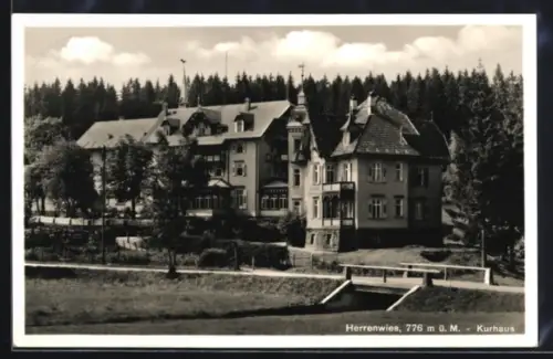 AK Herrenwies, Kurhaus, Gasthaus zum Auerhahn, Inh. Geschw. Braun