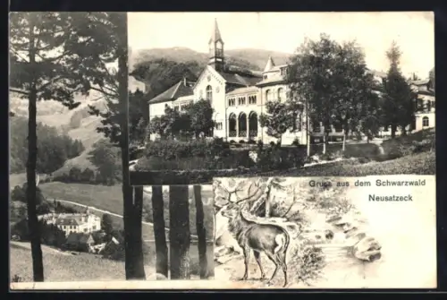AK Neusatzeck /Schwarzwald, Kurhaus, Hirsch im Wald