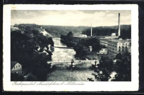 AK Neudörfchen b. Mittweida, Zschopautal mit Fabrik und Brücke