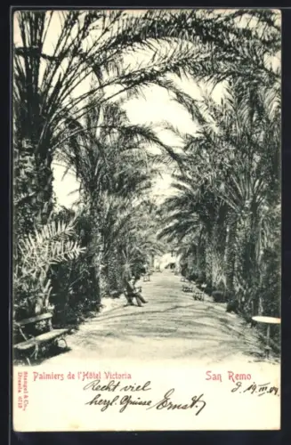 AK San Remo, Palmiers de l`hôtel Victoria