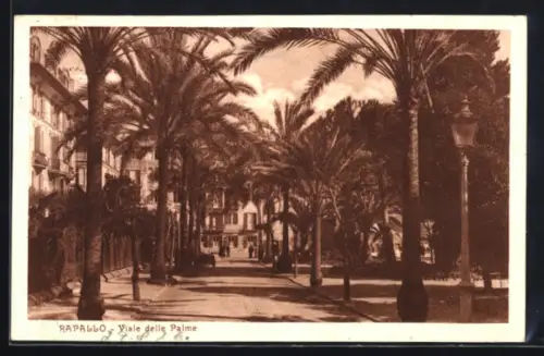 AK Rapallo, Viale delle Palme