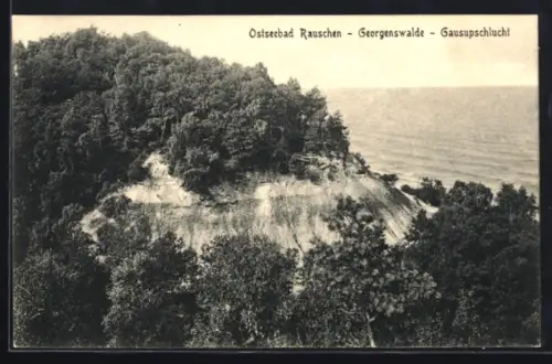 AK Rauschen-Georgenswalde, Blick auf die Gausupschlucht