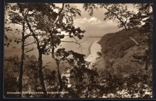 AK Georgenswalde, Blick in die Gausupschlucht