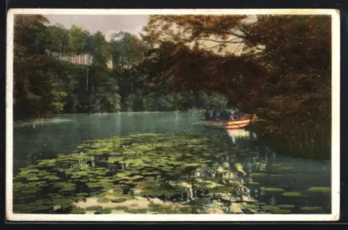 AK Misdroy, Jordansee