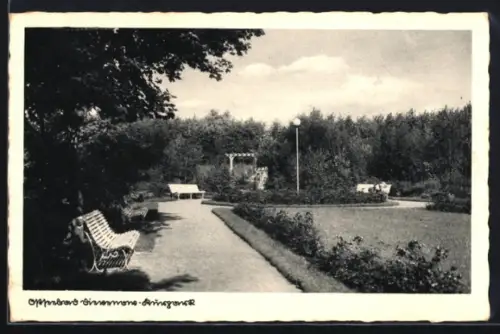 AK Dievenow, Kurpark mit Anlagen und Ruhebänken