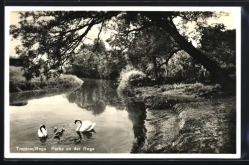 AK Treptow /Rega, Partie an der Rega