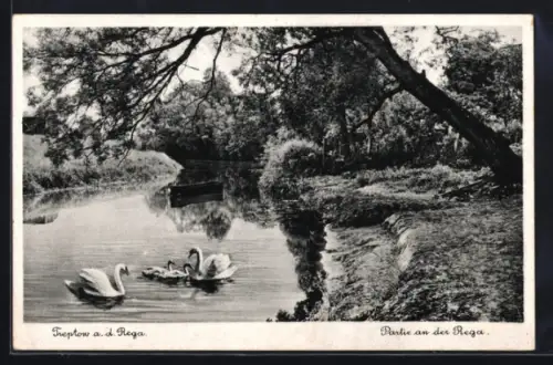 AK Treptow /Rega, Partie an der Rega