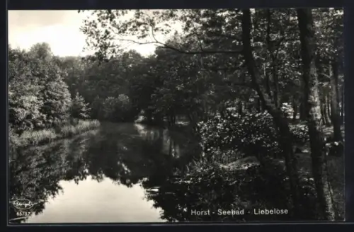 AK Horst-Seebad, Liebelose