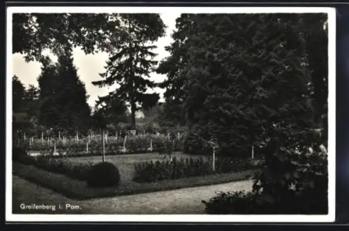 AK Greifenberg i. Pom., Parkpartie