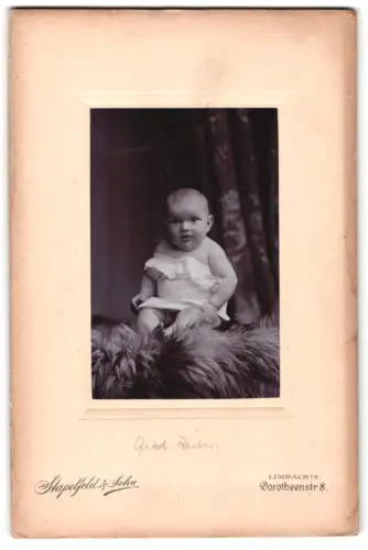 Fotografie Stapelfeld & Sohn, Limbach, Dorotheenstr. 8, Gretel K. als Kleinkind