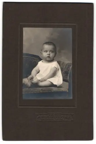 Fotografie Alfred Richter, Radebeul, Sitzender Säugling mit Kuscheltier