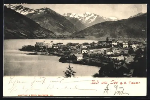 AK Zell am See, Panorama mit See und Tauern