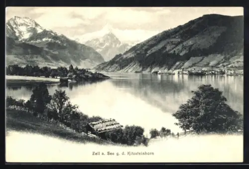 AK Zell am See, Gesamtansicht gegen das Kitzsteinhorn