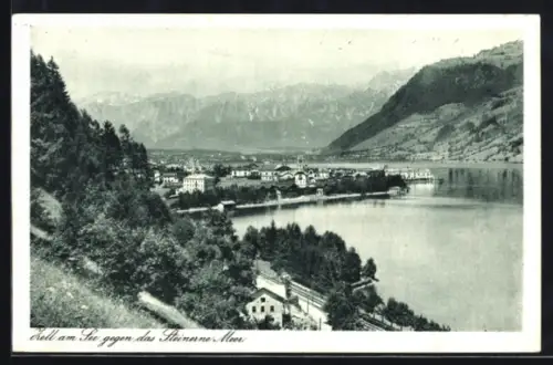 AK Zell am See, Totalansicht gegen Steinernes Meer