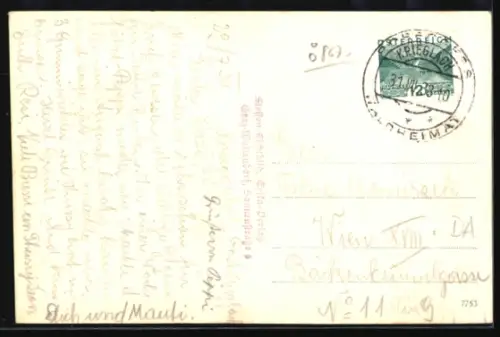 AK Alpl, Roseggerhof mit Rattner u. Pretulalpe