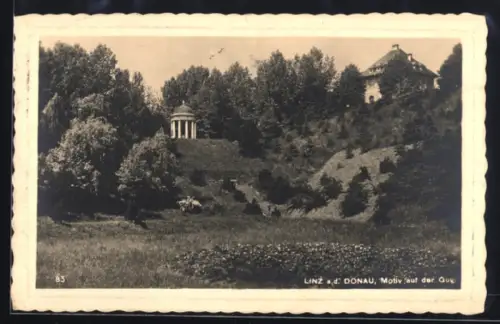 AK Linz a. d. Donau, Motiv auf der Gugl