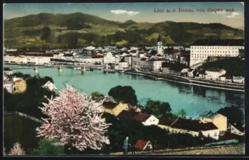 AK Linz a. d. Donau, Teilansicht von Hagen aus