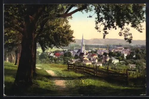 AK Bad Hall /Ob.-Oest., Ortsansicht von einen Weg aus