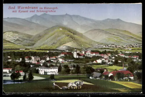 AK Bad Warmbrunn, Totalansicht mit Kynast & den Schneegruben