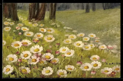 Künstler-AK Anna Haller: Bellis Perennis L., Blumenwiese im Wald