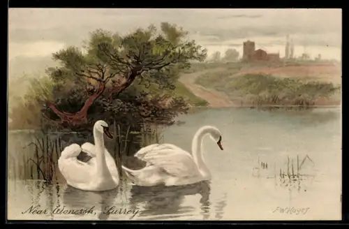 Lithographie Im Schilf, Schwäne