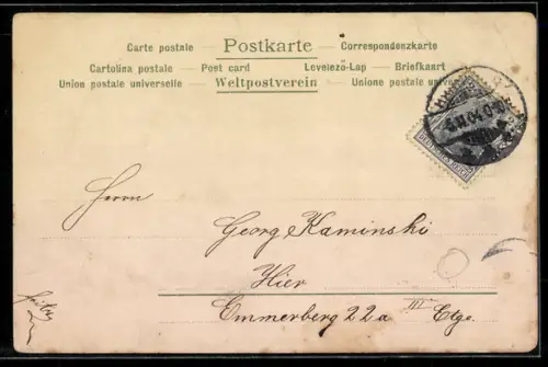 Lithographie Kohlkopfkinder, Metamorphose