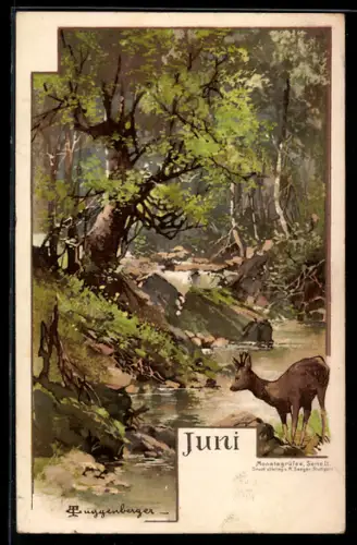 Künstler-AK T.Guggenberger: Monat Juni, Reh steht scheu vor einem Bach am Waldesrand