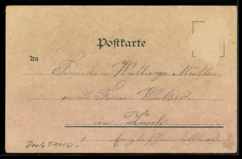 Lithographie Aach /Engen, Handlung Karl Riemele, Ortspanorama