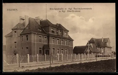 AK Eisleben, Blücherstrasse mit Kgl. Bezirkskommando, Kgl. Oberförsterei