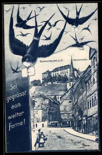 Grusskarten-AK AK Blankenburg a. H., Cafe Emil Damköhler an der Tränkestrasse und Schloss, Schwalben mit Nachrichten