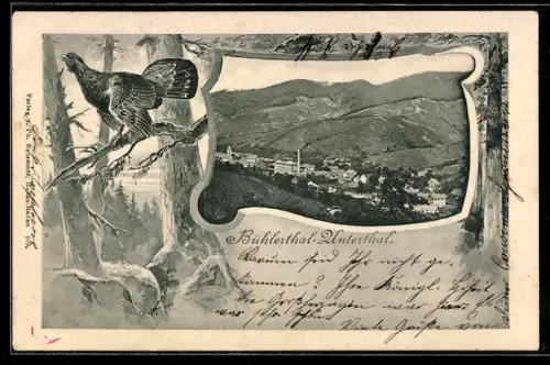 Lithographie Bühlerthal-Unterthal, Teilansicht, Auerhahn auf Ast, Passepartout