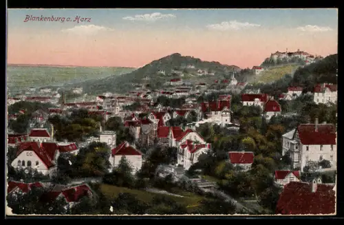 AK Blankenburg a. Harz, Ortsansicht aus der Vogelschau
