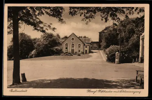 AK Ballenstedt, Herzogl. Hoftheater mit Schlosseingang