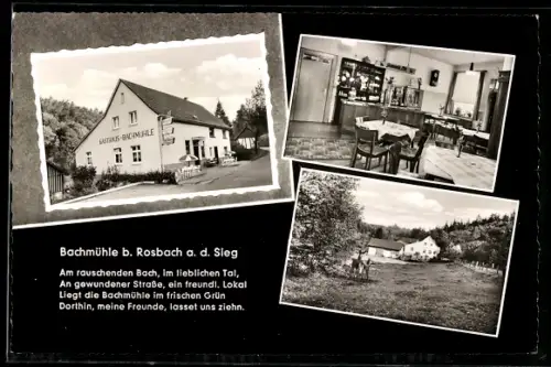 AK Rosbach a. d. Sieg, Gasthaus Bachmühle, Inh. K. Brucherseifer