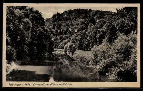 AK Meiningen i. Thür., Werrapartie, Blick zum Bielstein