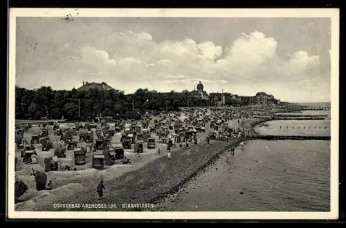 AK Arendsee i. M., Strandleben, Strandkörbe am Strand