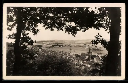 AK Tholey /Saar, Blick am Wege zum Chaumberg