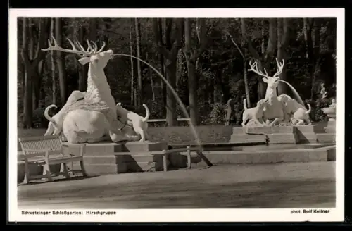 AK Schwetzingen, Schlossgarten mit Hirschgruppe
