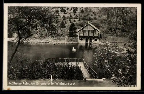 AK Mülheim /Ruhr, Am Ententeich im Witthausbusch