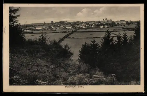 AK Bleialf /Eifel, Ortsansicht