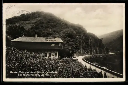 AK Bunte Kuh bei Walporzheim, Restaurant Weinhaus Feisidylle, Inh. Wilhelm Repp