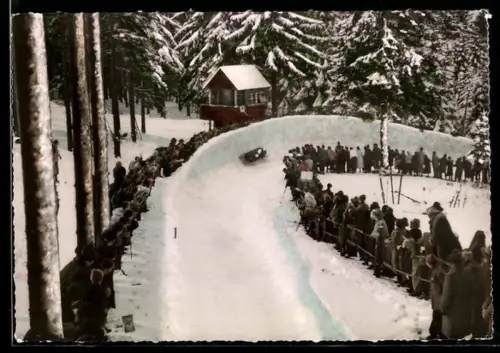AK Hahnenklee-Bockswiese /Oberharz, Bobbahn mit Vierer-Bob