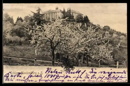 AK Blankenburg a. H., Schloss