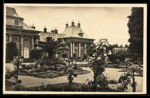 AK Dresden-Pillnitz, Schlossgarten und Neues Palais