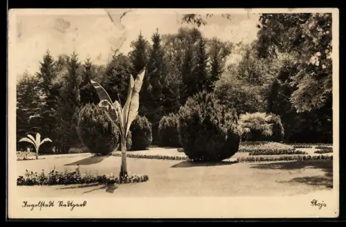 AK Ingolstadt, Stadtpark