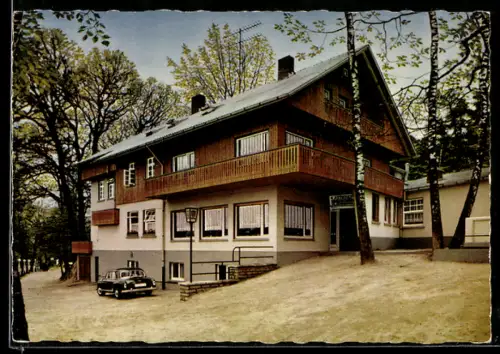 AK Ibbenbüren, Sommerrodelbahn Märchenwald, Gasthaus, Panorama