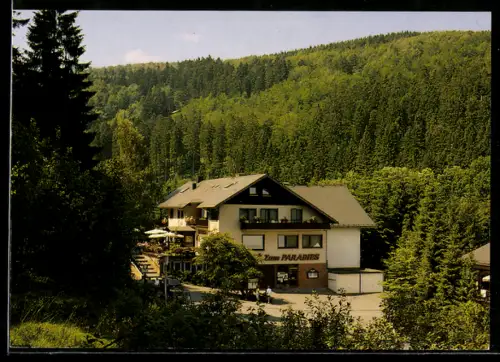 AK Willingen /Stryck, Hotel Café Zum Paradies Fam. Figge, Waldlandschaft