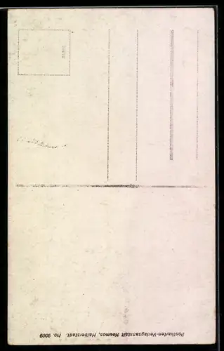 AK Wernigerode a. H., Rathaus