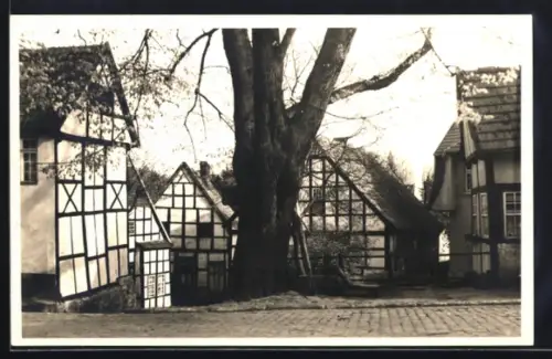 AK Tecklenburg i. Teutoburger Wald, Strassenpartie mit Fachwerkhäusern