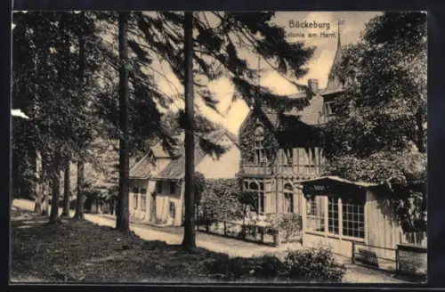 AK Bückeburg, Colonie am Harrl